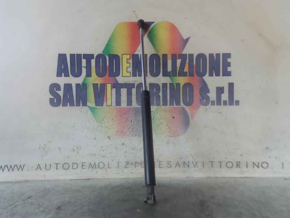 ASTA AMMORTIZZANTE PORTELLO POST. DX. RENAULT CLIO 2A SERIE (05/01>11/10