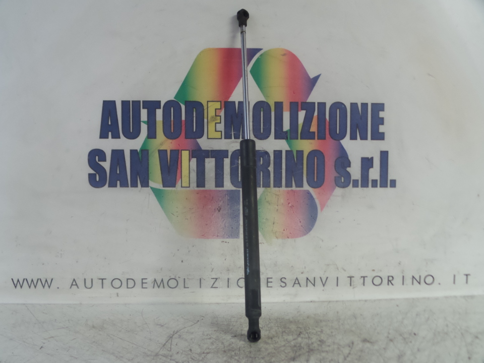 ASTA AMMORTIZZANTE PORTELLO POST. DX. RENAULT CLIO 3A SERIE (07/05>05/09